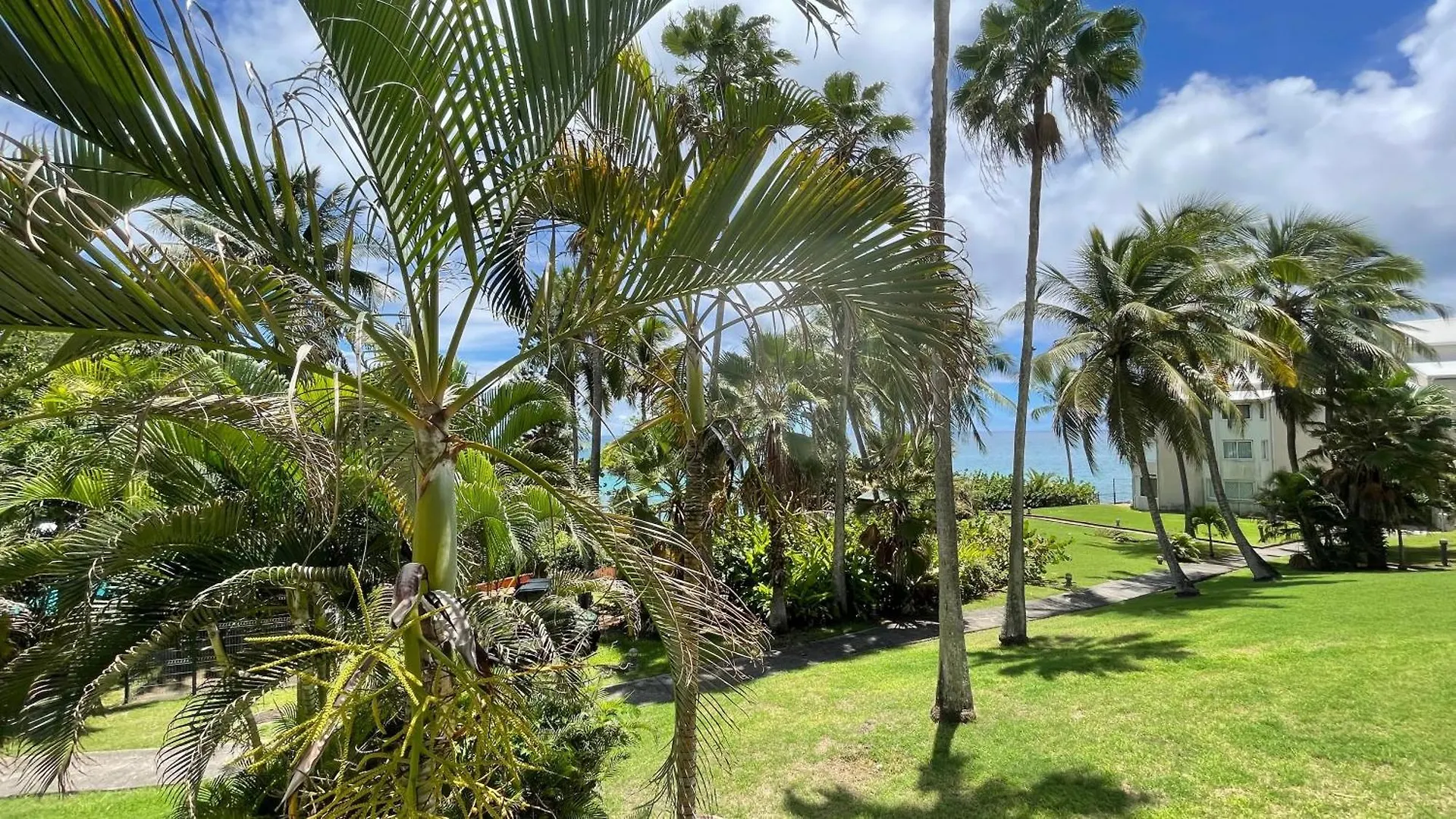 Studio Le Frangipanier Au Gosier Avec Plage - Location Prestige Caraibes 르 고지에 0*,  과달루프